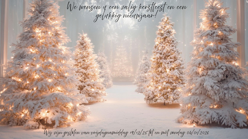 White Blue and Yellow Modern Animated Christmas Greeting Video (1)