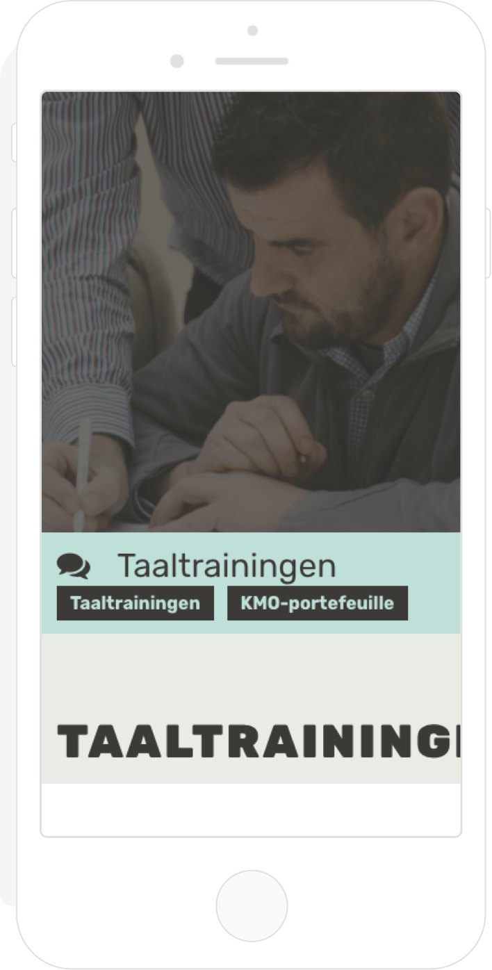 webdesign-Verlingua-phone-3
