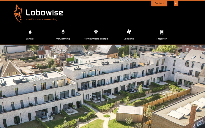 LobowiseWebsite