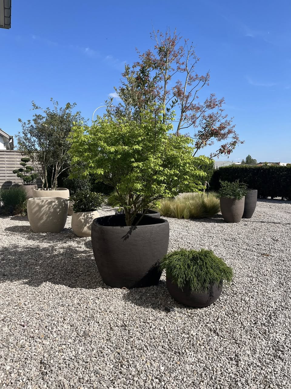 672171106_972641228616650_7919905763570494594_n