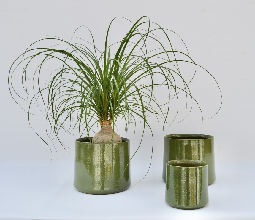 pot 14