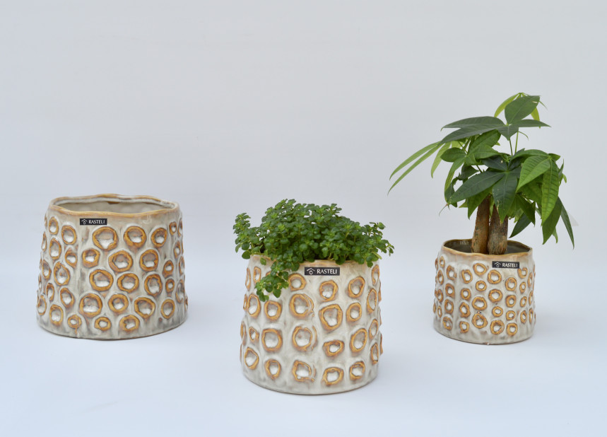 pot 21