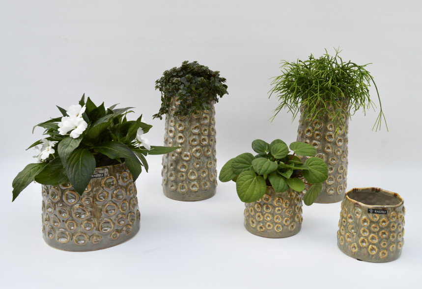 pot 22