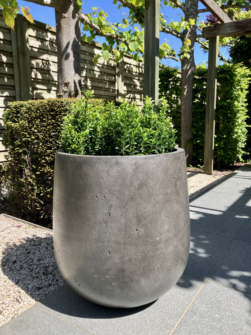 pot 46