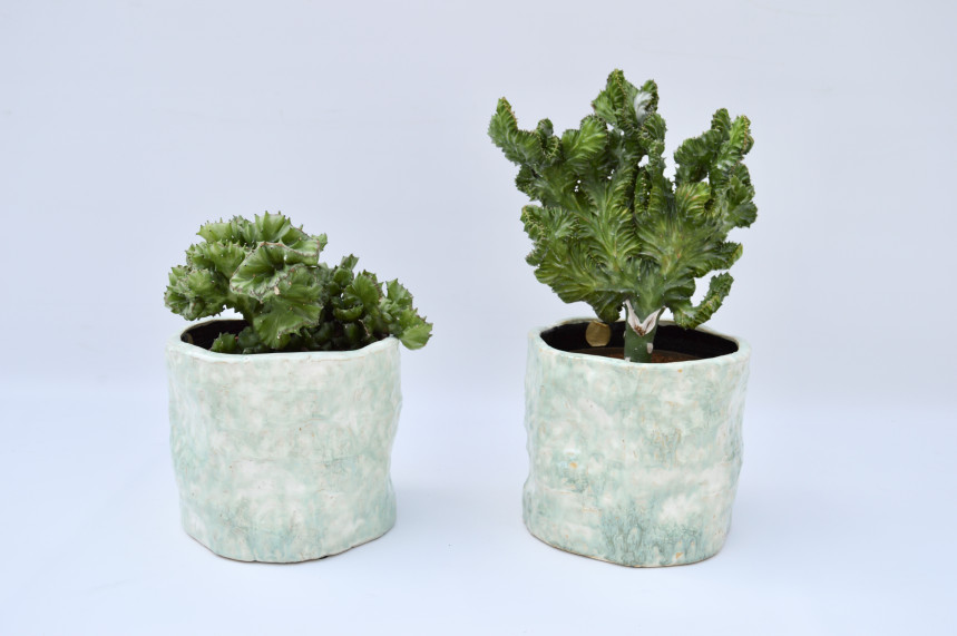 pot11