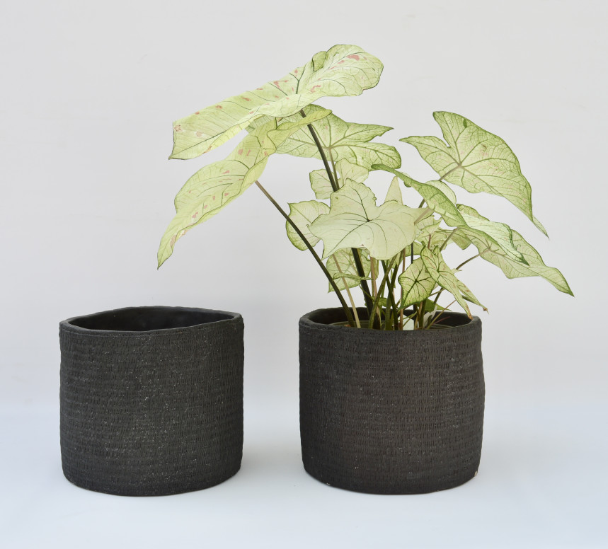 pot12