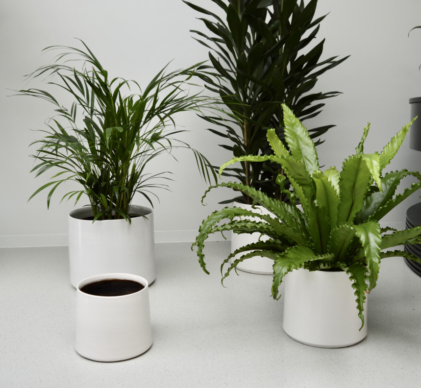 pot17