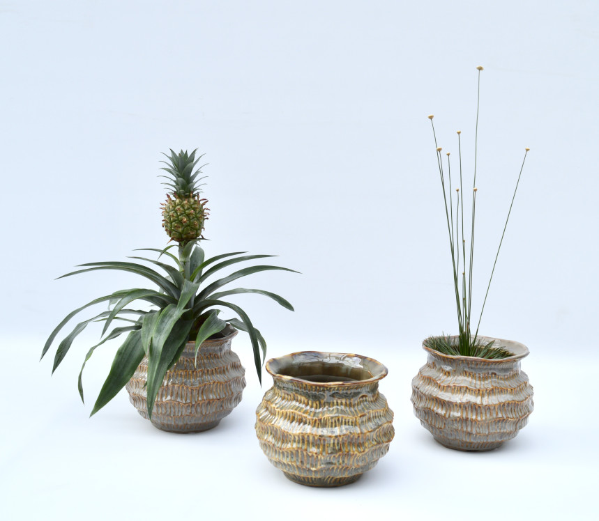 pot30