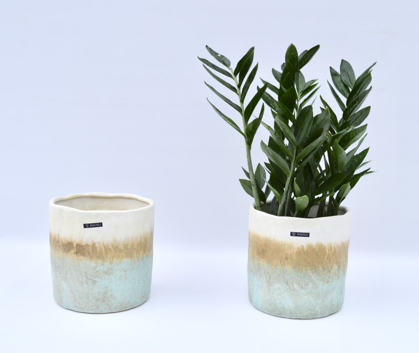 pot31