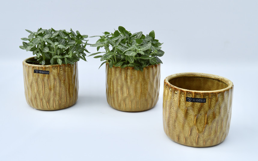 pot33