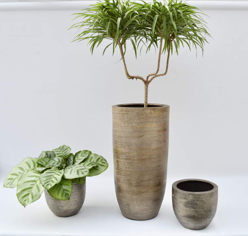 pot34