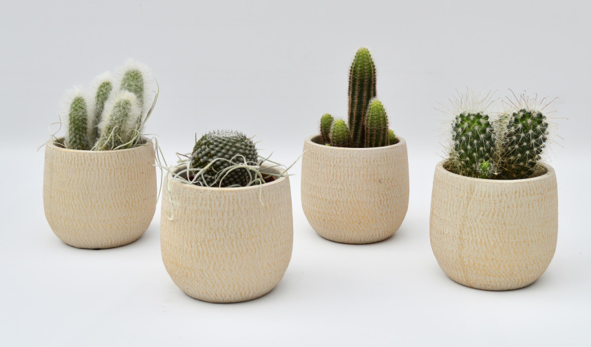 pot37