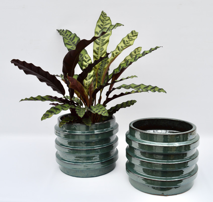 pot38