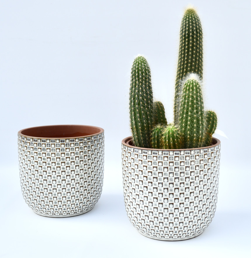 pot43