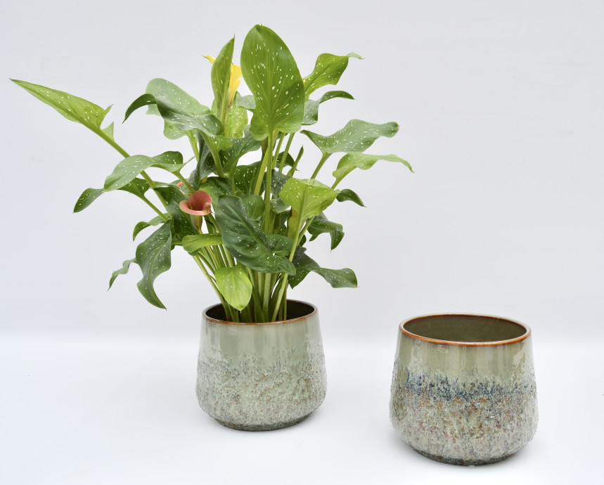 pot48