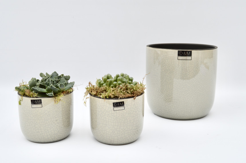 pot51