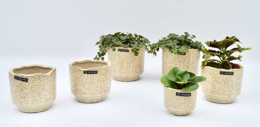 pot52