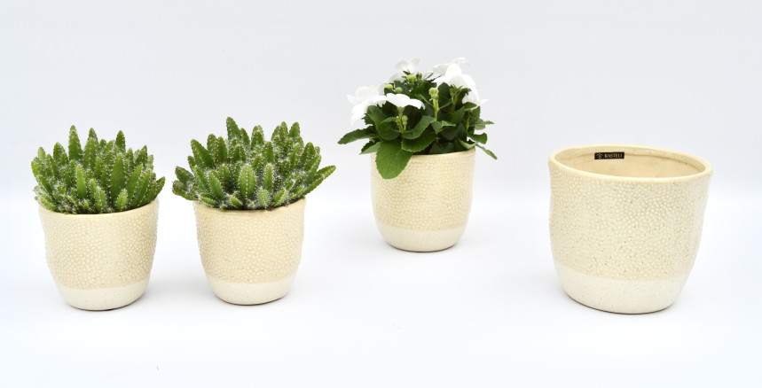 pot53