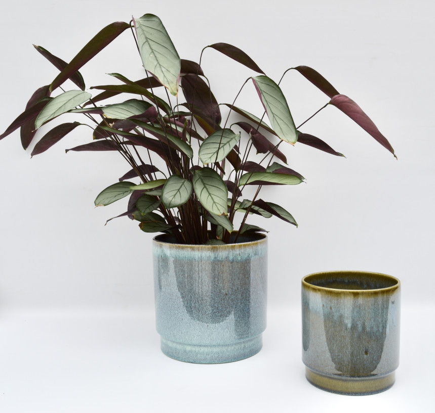 pot54