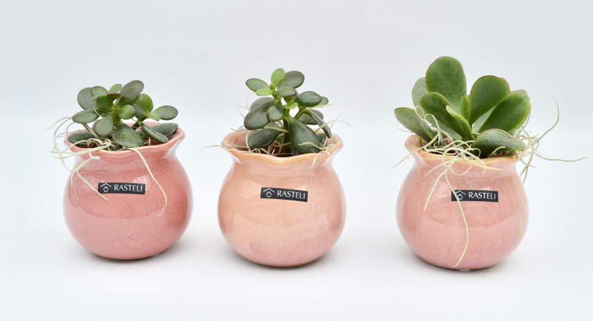 pot57