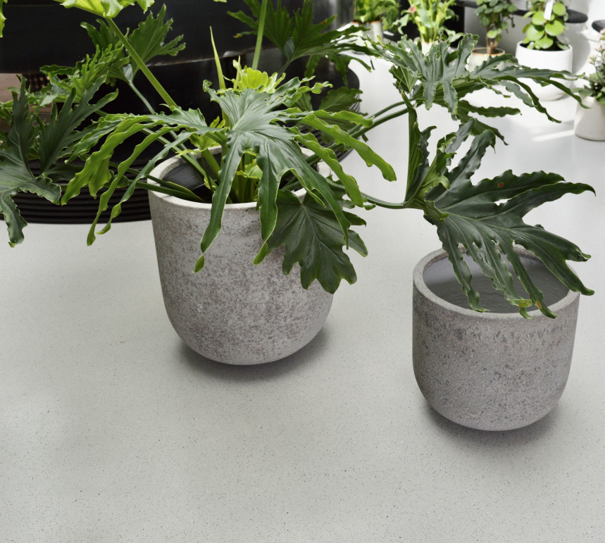 pot7