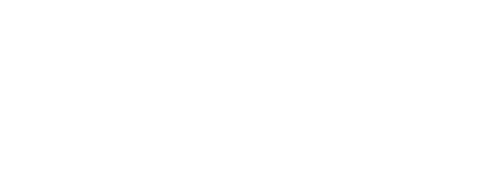 Einstein-adhesive-title