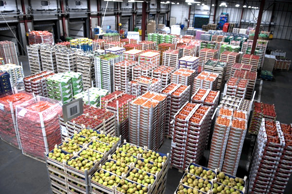 Cases - HERVE COLDSTORE | C&W Logistics