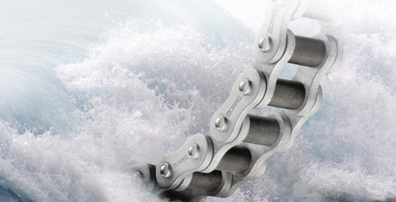 140529-Tsubaki-new-NEP