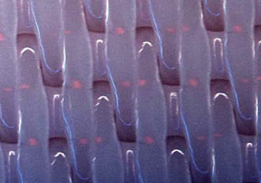 1379_detail