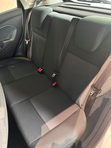 fiesta moondust 2011 5