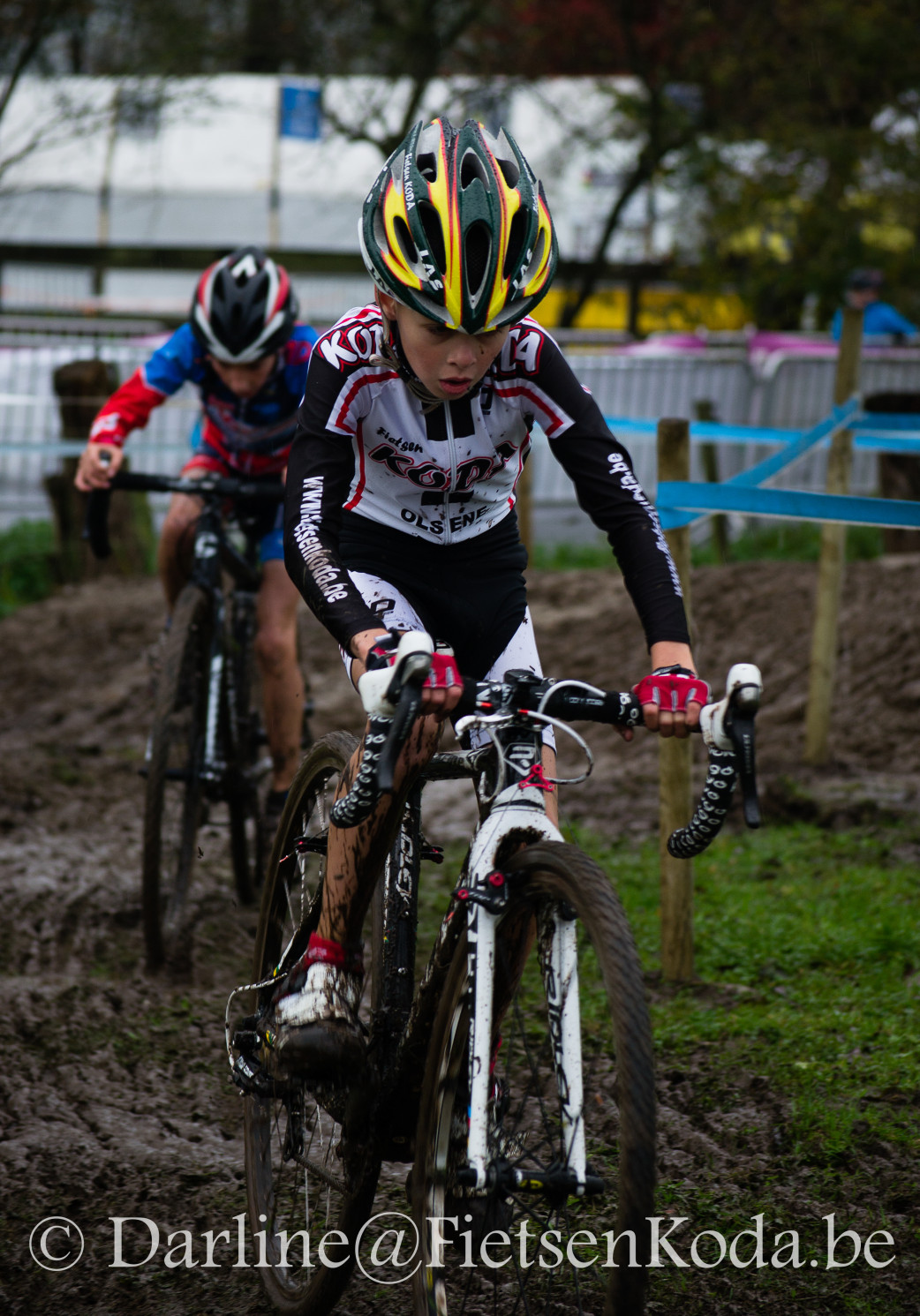 Milan zele 15-11-14 (3)