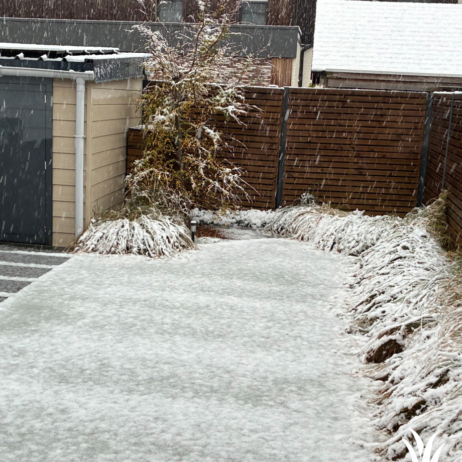 Grasmeester kunstgras - Sneeuw op kunstgras, wat een prachtig zicht.