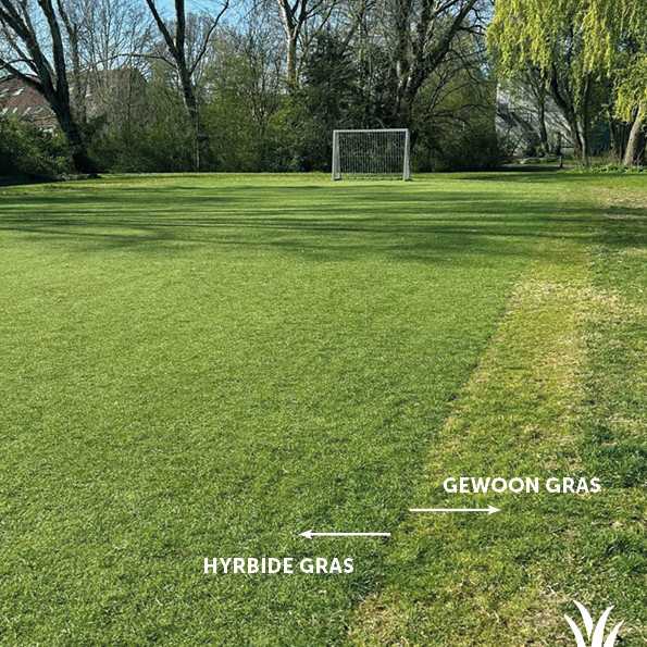Grasmeester kunstgras - STERK als KUNSTRAS, LEVENDIG als NATUURLIJK GRAS