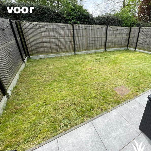 Grasmeester kunstgras - Dit voorjaar is hét moment om kunstgras te laten aanleggen!