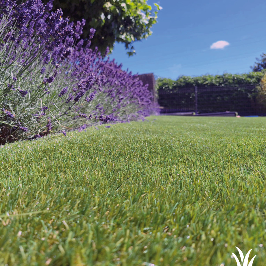 Grasmeester kunstgras - Duurzaam, stijlvol en praktisch. Verda Lumo is klaar voor de toekomst Grasmeester kunstgras - Duurzaam, stijlvol en praktisch. Verda Lumo is klaar voor de toekomst