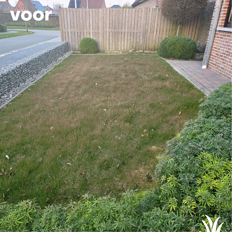 Grasmeester kunstgras - Je voortuin is het visitekaartje van je huis! Grasmeester kunstgras - Je voortuin is het visitekaartje van je huis!