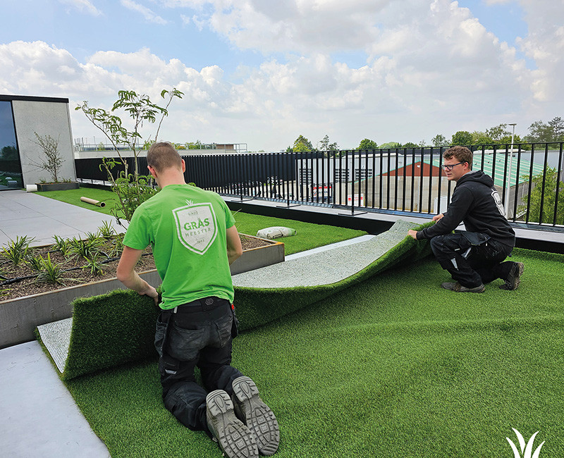 Kunstgras voor je tuin in Torhout | Grasmeester kunstgras Kunstgras voor je tuin in Torhout | Grasmeester kunstgras