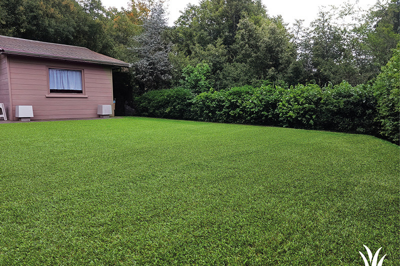 Kunstgras voor je tuin in Torhout | Grasmeester kunstgras Kunstgras voor je tuin in Torhout | Grasmeester kunstgras