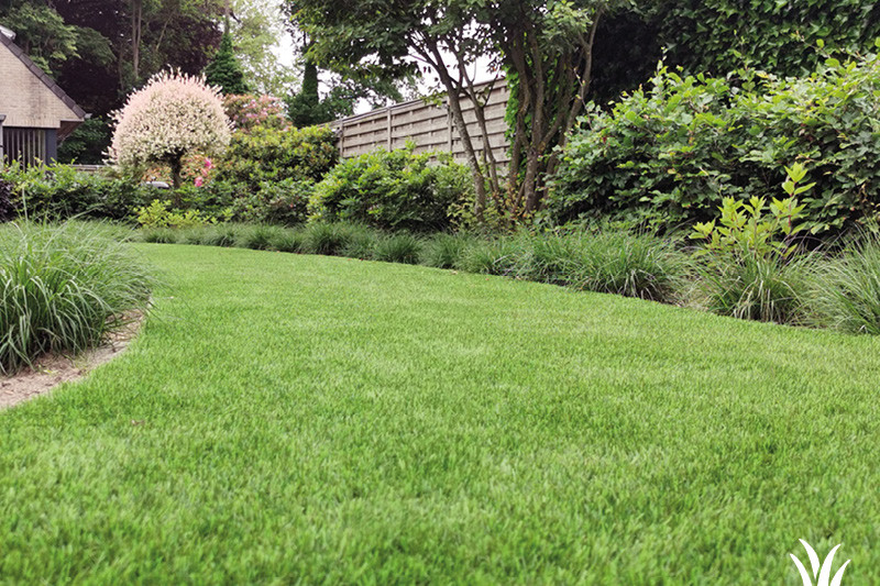 Grasmeester brengt jouw tuin tot leven | Grasmeester kunstgras Grasmeester brengt jouw tuin tot leven | Grasmeester kunstgras