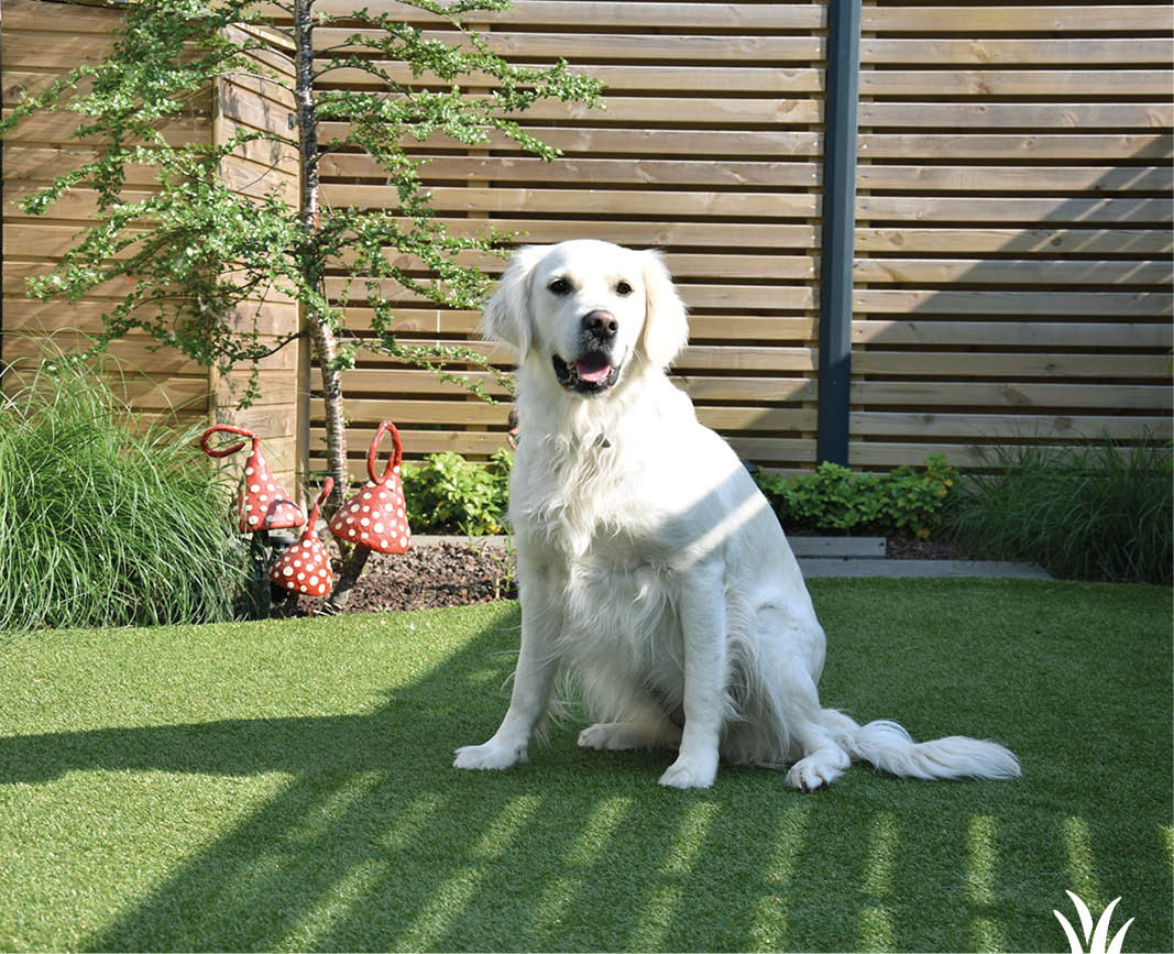 Grasmeester kunstgras geschikt voor honden