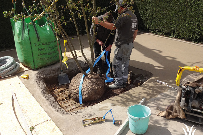 Realisatie | Grasmeester kunstgras Realisatie | Grasmeester kunstgras