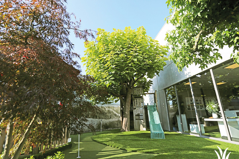 Catalpa bignonioides, de trompetboom | Grasmeester kunstgras Catalpa bignonioides, de trompetboom | Grasmeester kunstgras