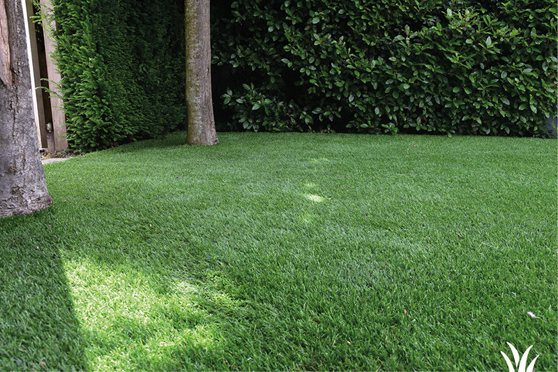 Maximale tuinbeleving met kunstgras