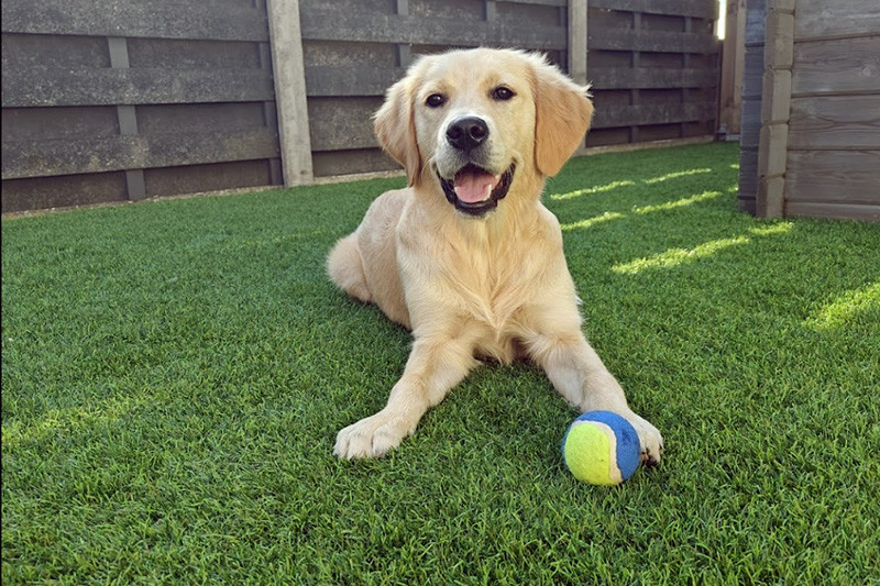 100% tevreden klanten - daar gaan we voor bij Grasmeester kunstgras! 100% tevreden klanten - daar gaan we voor bij Grasmeester kunstgras!