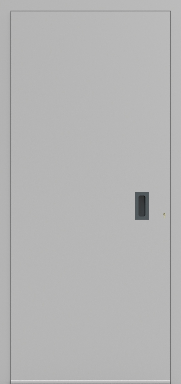 Porte d'entrée ONE 3.0 de la gamme Minimal posée par les établissements CELEREAU à Roncq Porte d'entrée ONE 3.0 de la gamme Minimal posée par les établissements CELEREAU à Roncq