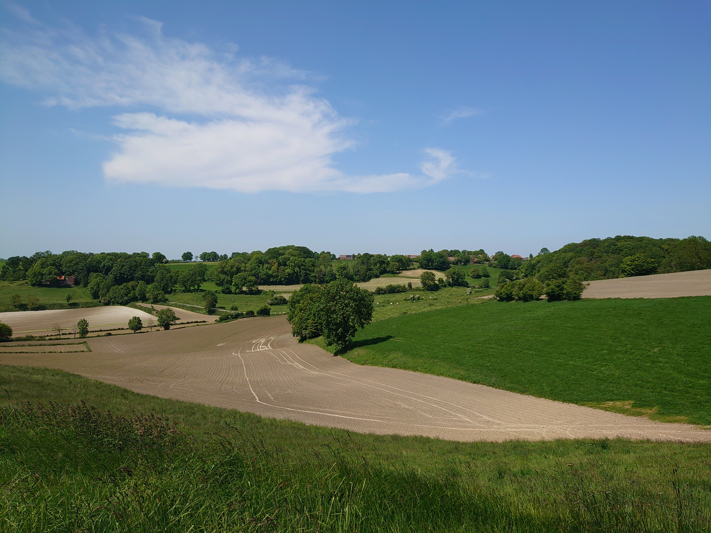 Dassenweekend Selectie WWF (46)