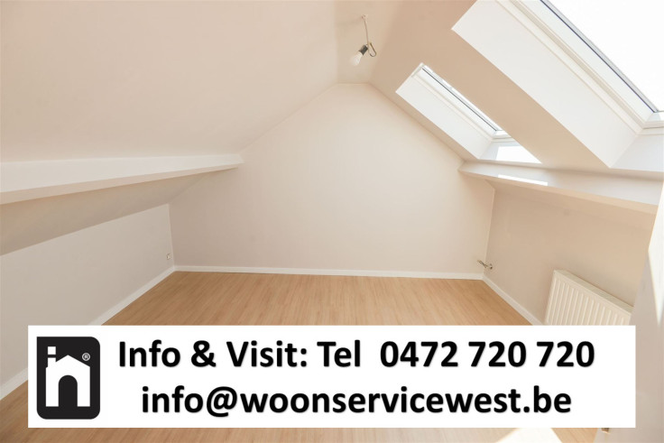 E3638854975717183881_5633ALXL