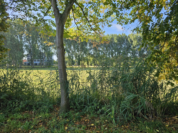Weststraat 25 33