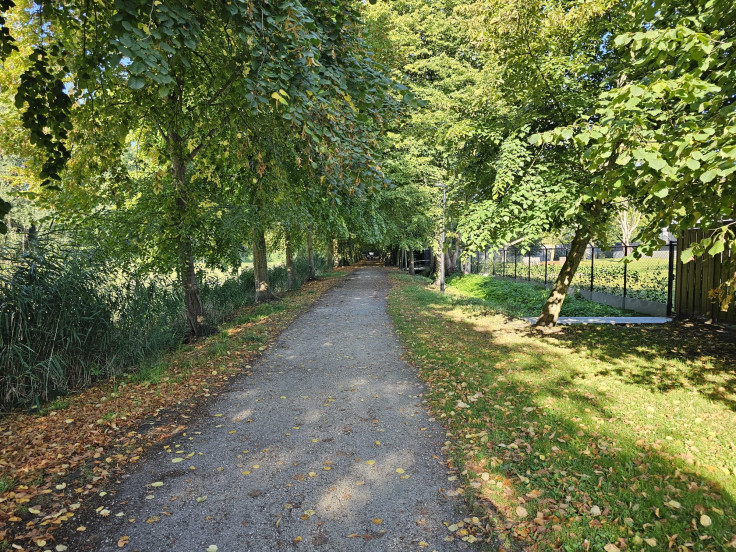 Weststraat 25 34