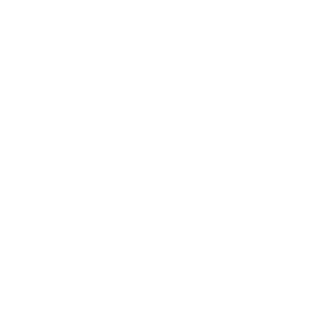 logo_synergieWIT